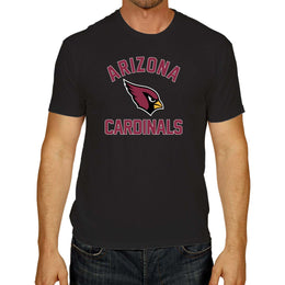 Arizona Cardinals Team Fan Apparel NFL  Gameday T-Shirt - Black