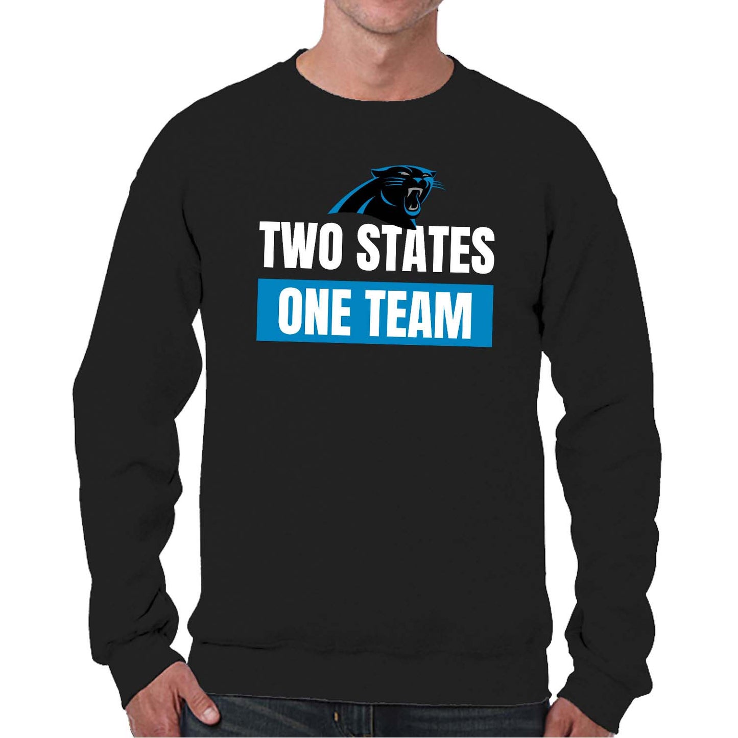 Carolina Panthers NFL Adult Slogan Crewneck Sweatshirt - Black