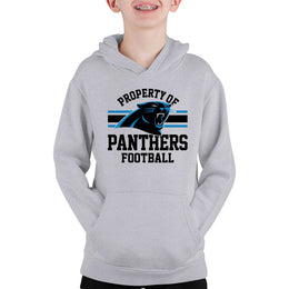 Carolina Panthers NFL Youth Property Of Hooded Sweatshirt - Sport Gray