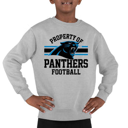 Carolina Panthers NFL Youth Property Of Crew Sweatshirt - Sport Gray
