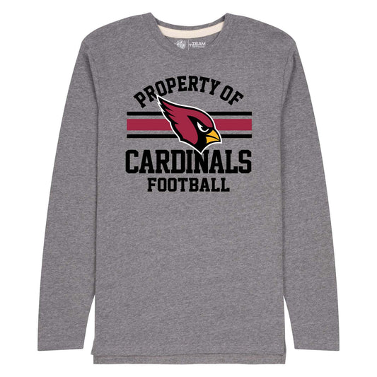 Arizona Cardinals NFL Adult Property Of Long SleeveT Shirt - Sport Gray