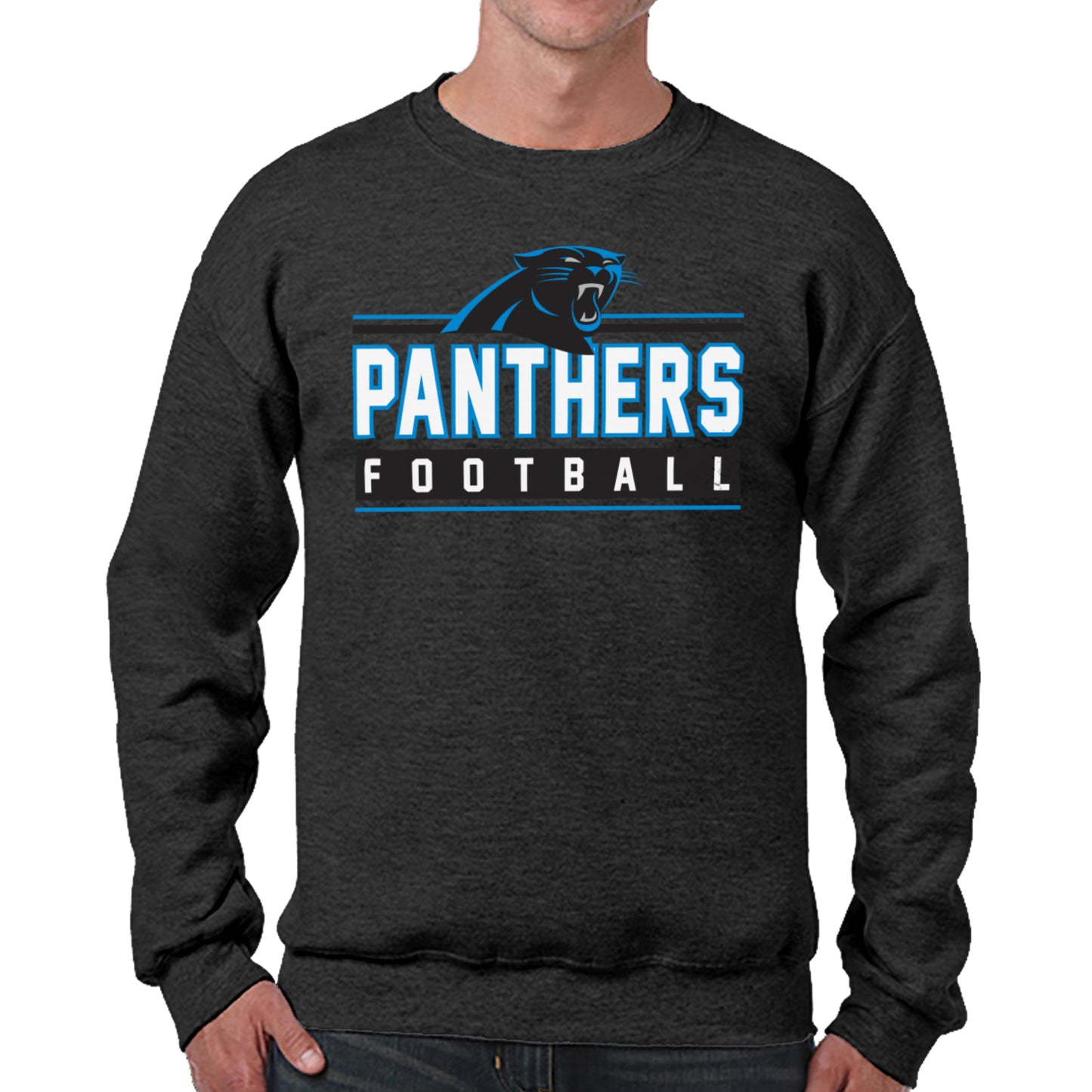 Carolina Panthers NFL Adult True Fan Crewneck Sweatshirt - Charcoal