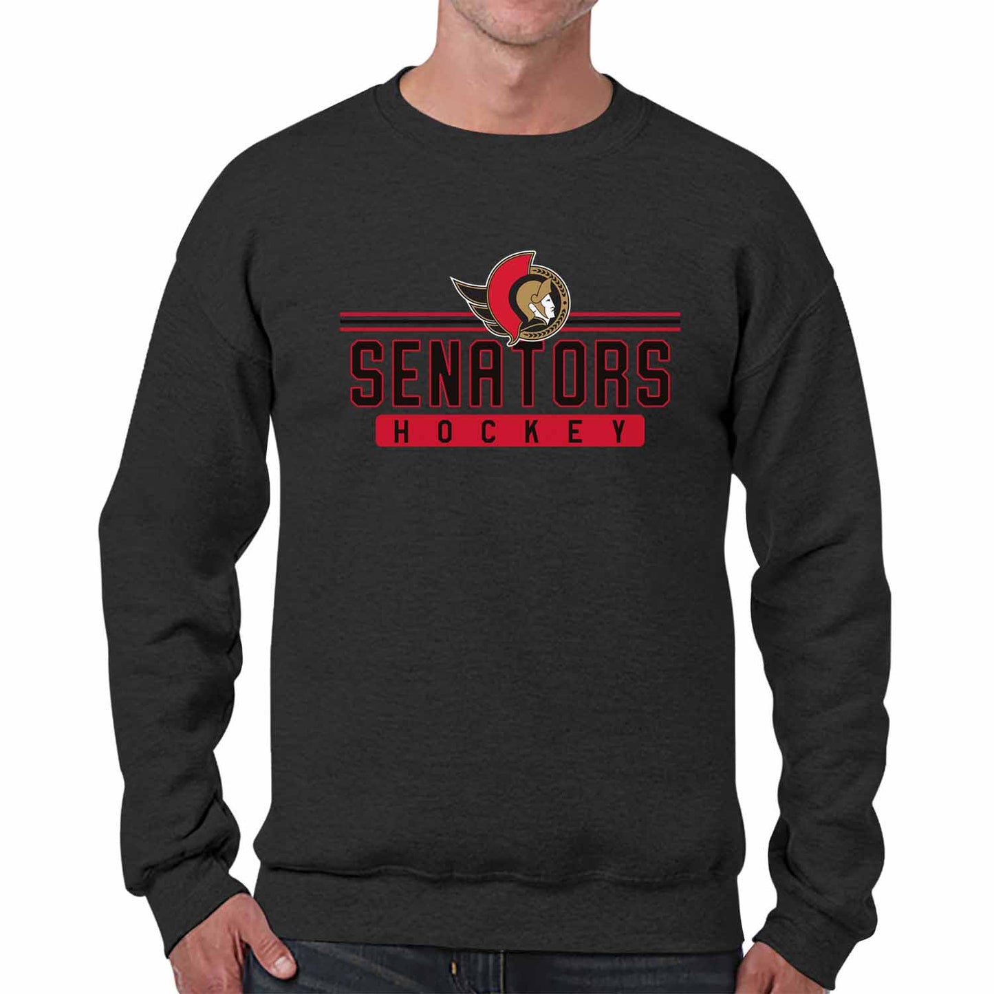 Ottawa Senators NHL Charcoal True Fan Crewneck Sweatshirt - Charcoal