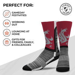 Washington State Cougars NCAA Youth University Socks - Maroon