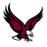 Boston College Eagles