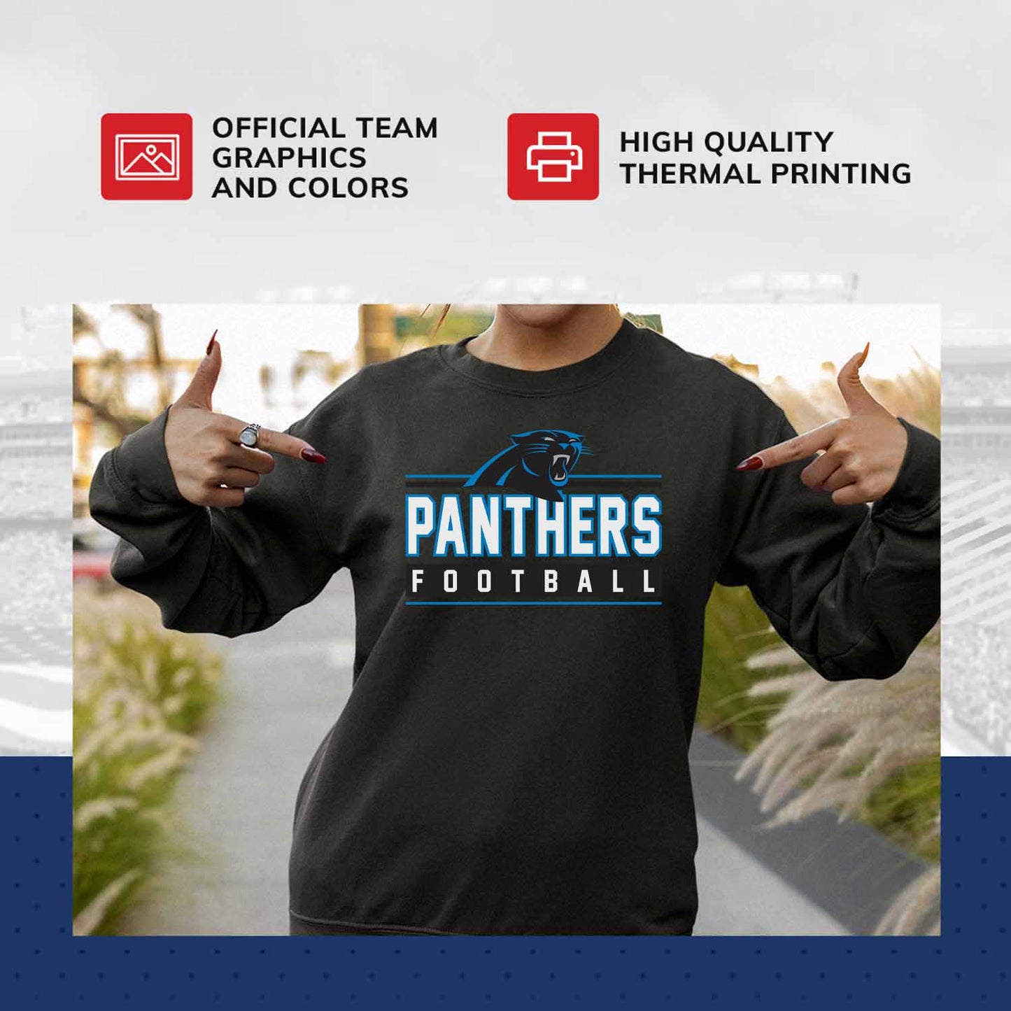 Carolina Panthers NFL Adult True Fan Crewneck Sweatshirt - Charcoal