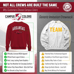 Arkansas Razorbacks Adult Arch & Logo Soft Style Gameday Crewneck Sweatshirt - Cardinal