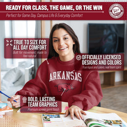 Arkansas Razorbacks Adult Arch & Logo Soft Style Gameday Crewneck Sweatshirt - Cardinal