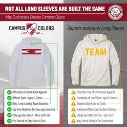 Arkansas Razorbacks NCAA Unisex Scholarship Cloud Jersey Performance Hooded Long Sleeve Tee - Gray Heather