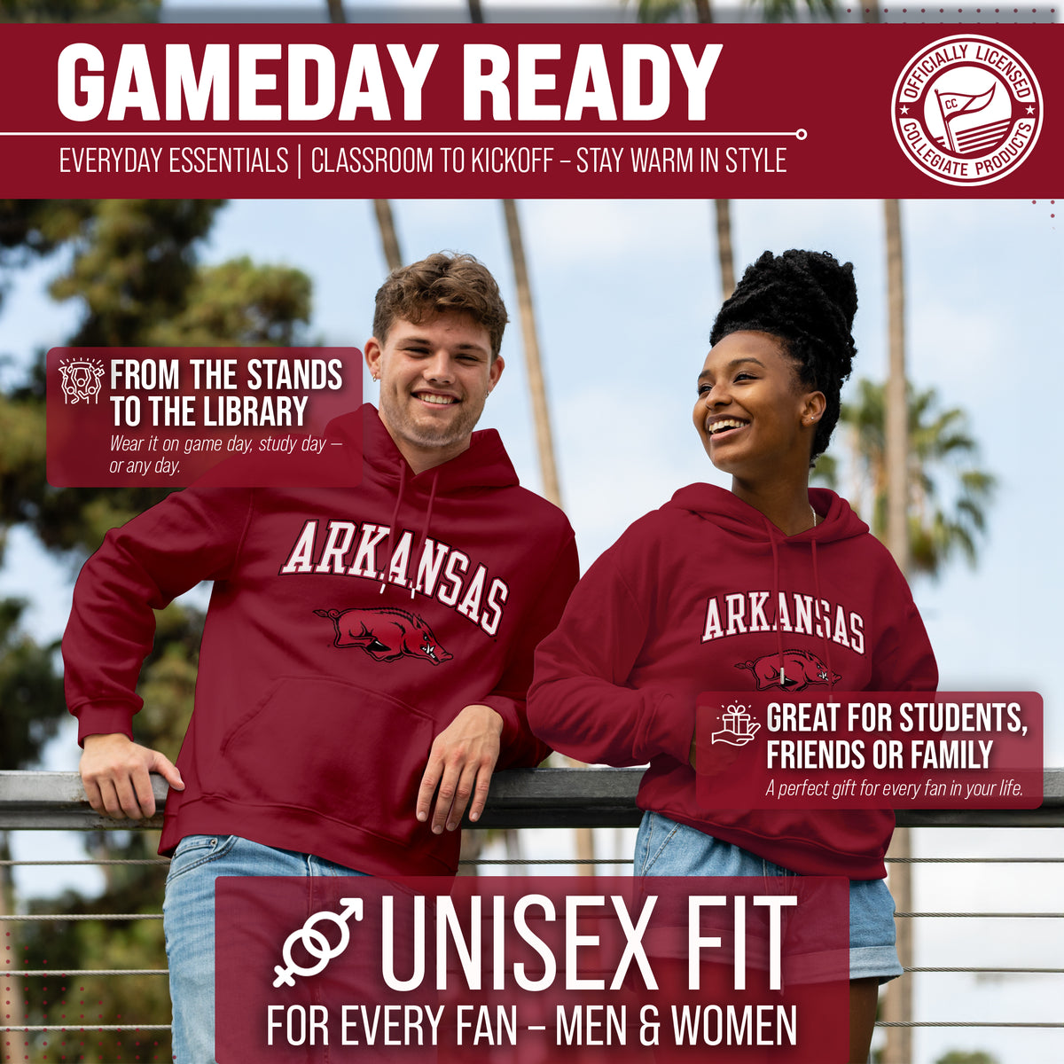 ARK Arch & Logo Gameday Hoodie - Cardinal