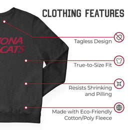 Arkansas Razorbacks NCAA Adult Charcoal Crewneck Fleece Sweatshirt - Charcoal
