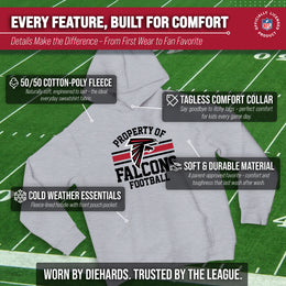 Atlanta Falcons NFL Youth Property Of Hooded Sweatshirt - Sport Gray