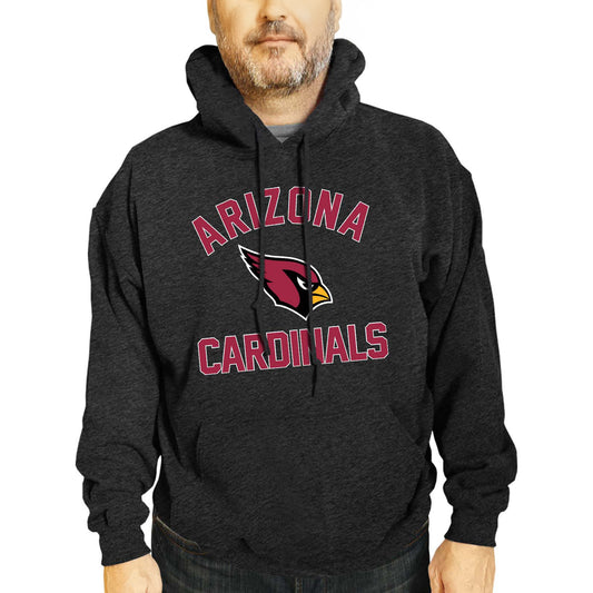 Arizona Cardinals Team Fan Apparel NFL  Gameday Hoodie - Charcoal