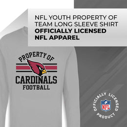 Arizona Cardinals NFL Youth Property Of Crew Sweatshirt - Sport Gray