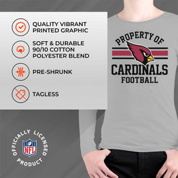 Arizona Cardinals NFL Youth Property Of Crew Sweatshirt - Sport Gray