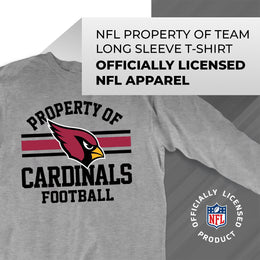 Arizona Cardinals NFL Adult Property Of Long SleeveT Shirt - Sport Gray