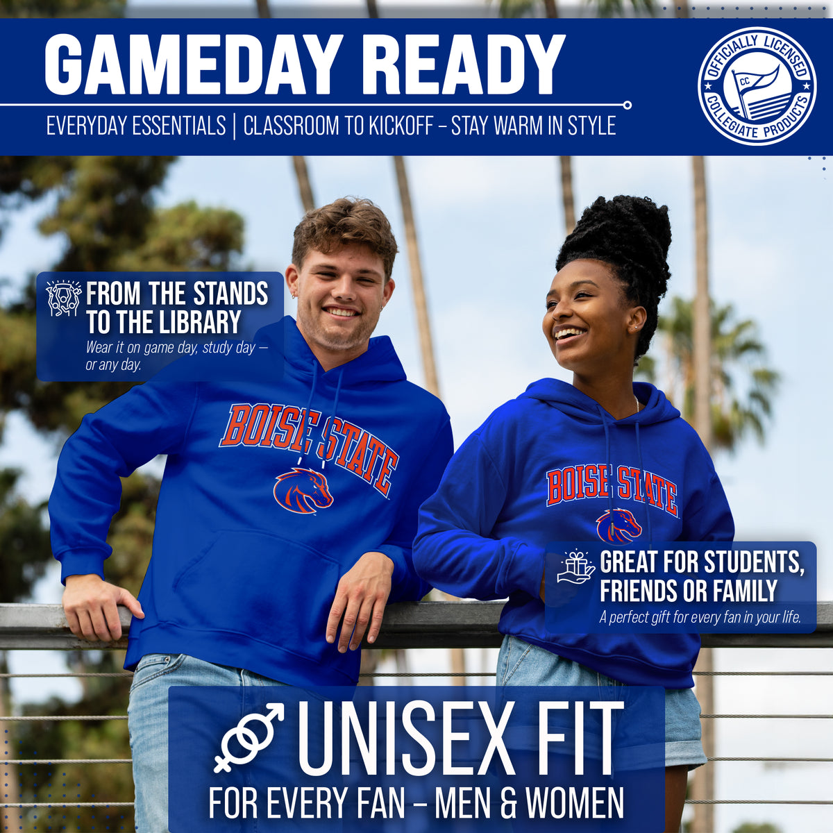 BOIS Arch & Logo Gameday Hoodie - Royal