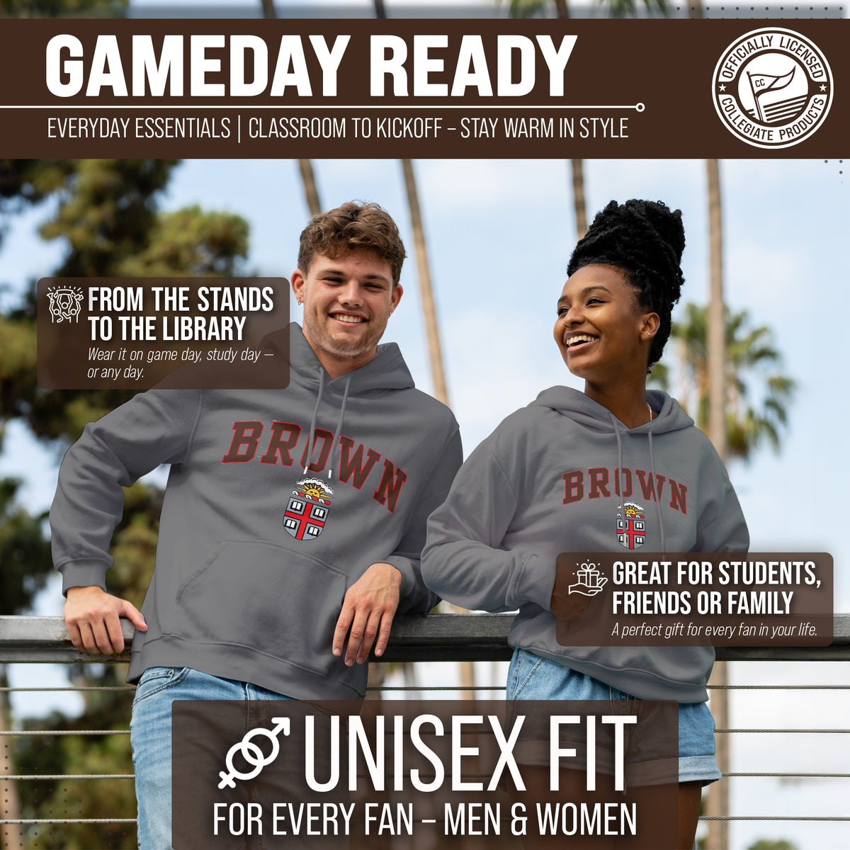 BRWN Arch & Logo Gameday Hoodie - Sport Gray
