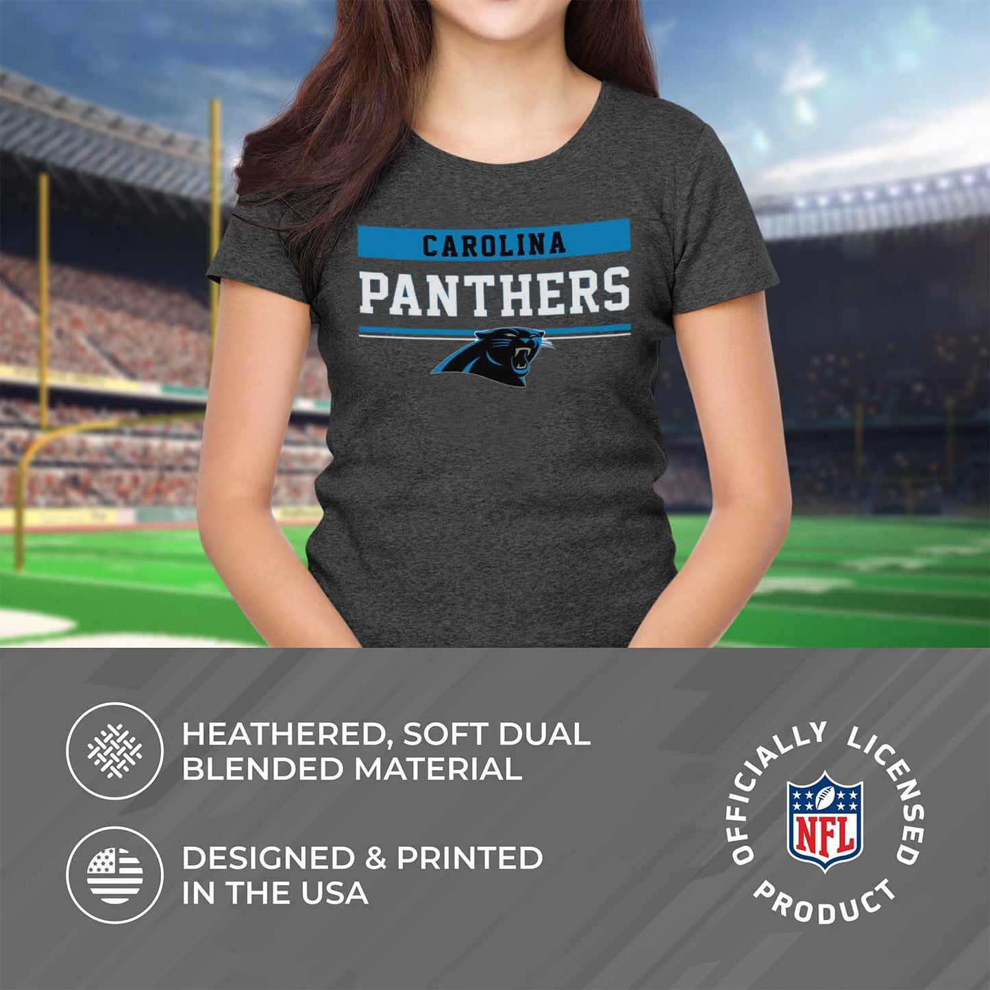 Carolina Panthers NFL Women's Team Block Plus Sized Relaxed Fit T-Shirt - Charcoal