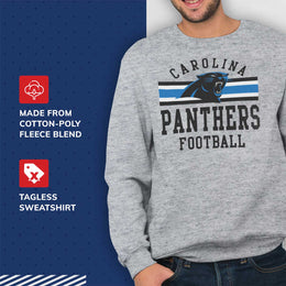Carolina Panthers NFL Team Stripe Crew Sweatshirt - Sport Gray