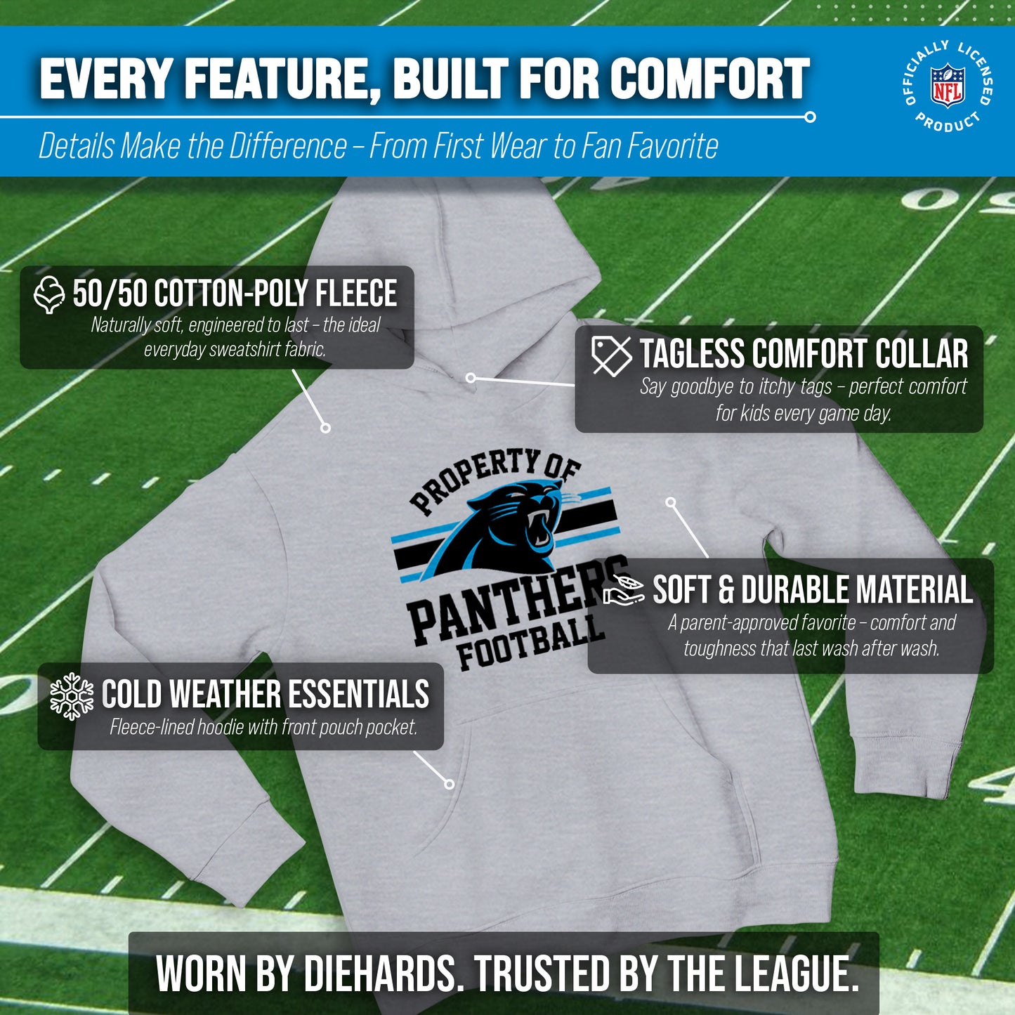 Carolina Panthers NFL Youth Property Of Hooded Sweatshirt - Sport Gray