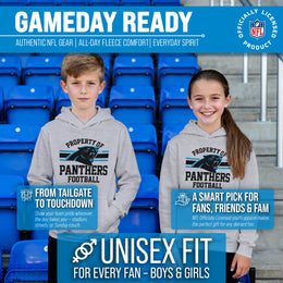 Carolina Panthers NFL Youth Property Of Hooded Sweatshirt - Sport Gray