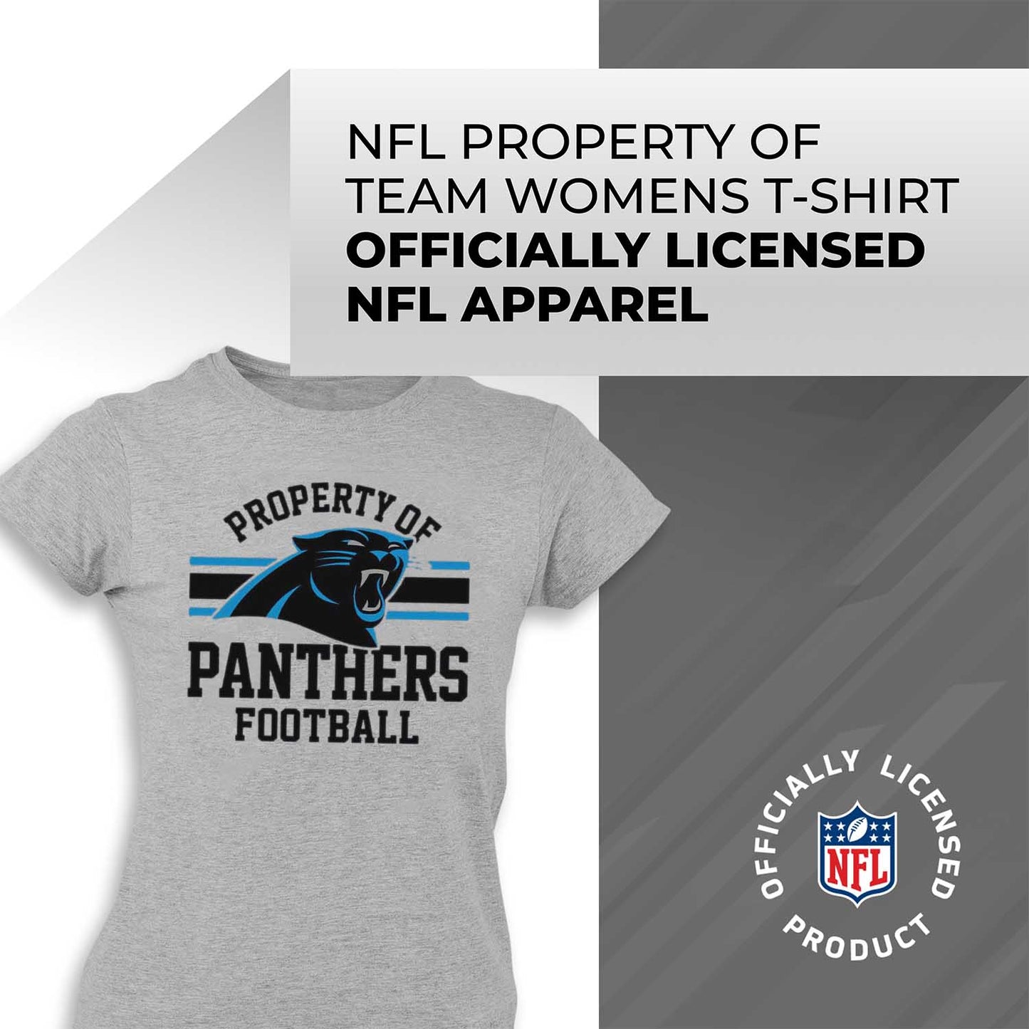 Carolina Panthers NFL Women's Property Of Lightweight Plus Size T-Shirt - Sport Gray