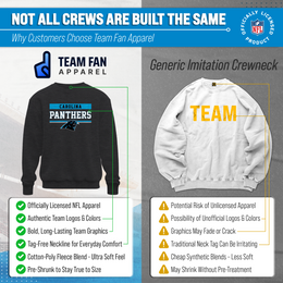 Carolina Panthers NFL Adult Long Sleeve Team Block Charcoal Crewneck Sweatshirt - Charcoal
