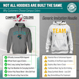 CCAR Arch & Logo Gameday Hoodie - Graphite