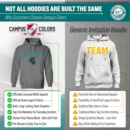 CCAR Arch & Logo Gameday Hoodie - Graphite