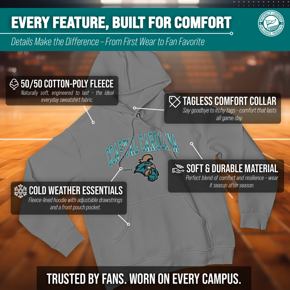 CCAR Arch & Logo Gameday Hoodie - Graphite