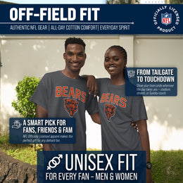 Chicago Bears NFL Home Team Tee - Gray