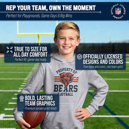 Chicago Bears NFL Youth Property Of Hooded Sweatshirt - Sport Gray
