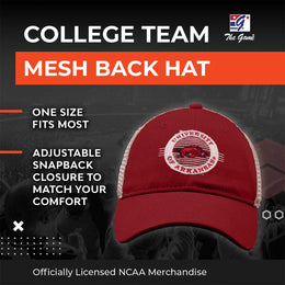 Arkansas Razorbacks The Game NCAA  Patch Meshback Snapback Hat - Cardinal