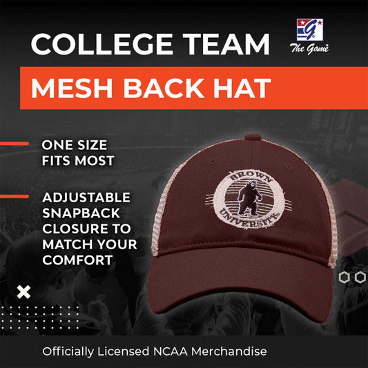 Brown Bears  NCAA Snapback Hat - Brown