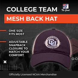 Columbia Lions The Game NCAA  Patch Meshback Snapback Hat - Navy
