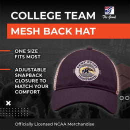 Kent State Golden Flashes The Game NCAA  Patch Meshback Snapback Hat - Navy