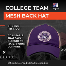 Northwestern Wildcats The Game NCAA  Patch Meshback Snapback Hat - Purple