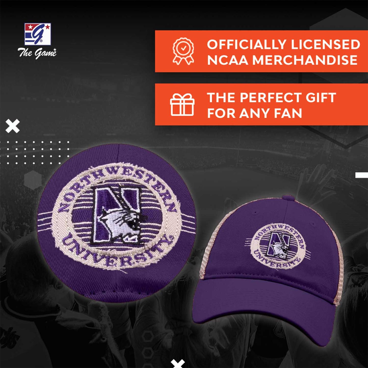 Northwestern Wildcats The Game NCAA  Patch Meshback Snapback Hat - Purple