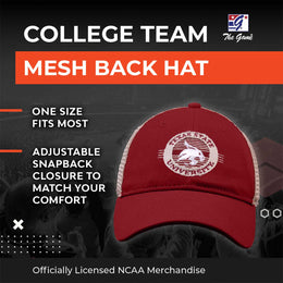 Texas State Bobcats The Game NCAA  Patch Meshback Snapback Hat - Maroon