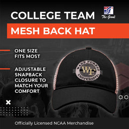 Wake Forest Demon Deacons The Game NCAA  Patch Meshback Snapback Hat - Black