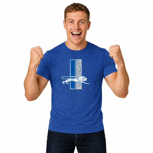 Detroit Lions NFL Throwback Tee - Royal