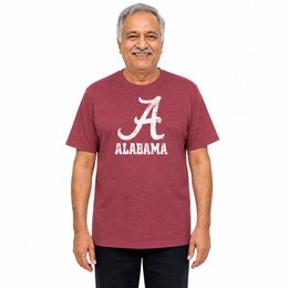 Alabama Crimson Tide Heathered Logo T-Shirt - Crimson