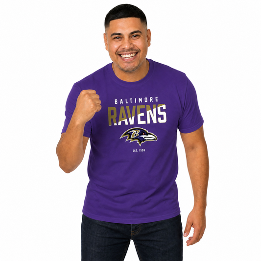 Baltimore Ravens NFL Color Block Tee - Purple