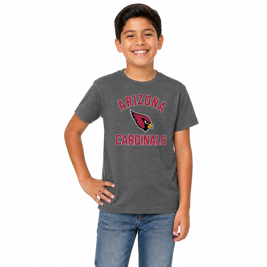 Arizona Cardinals Youth NFL Football T-Shirt - Charcoal