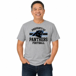 Carolina Panthers NFL Property Of T-Shirt - Sport Gray