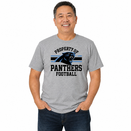 Carolina Panthers NFL Property Of T-Shirt - Sport Gray