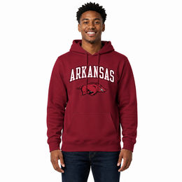 ARK Arch & Logo Gameday Hoodie - Cardinal