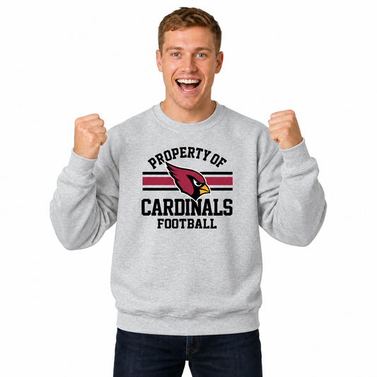 Arizona Cardinals NFL Property Of Crewneck Sweatshirt - Sport Gray