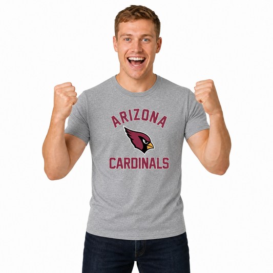 Arizona Cardinals NFL Gameday T-Shirt for Men and Women - Gray